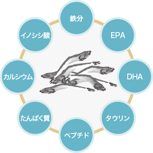 煮干しの栄養素