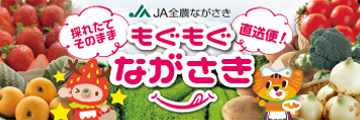ウェブショッピング